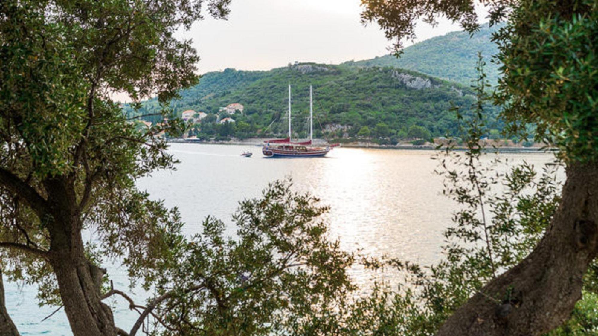 Villa Gverovic Štikovica 部屋 写真
